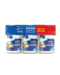 Cream Cheese Spread (240g x 3 pcs) 