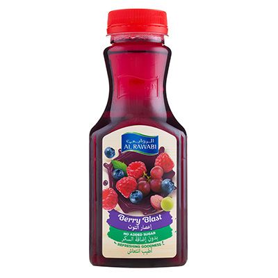 Fresh Berry Blast 350ml