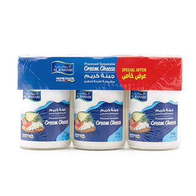 Cream Cheese Spread (240g x 3 pcs) 