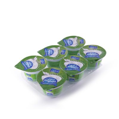 Full Fat Yoghurt (90g x 6 pcs)